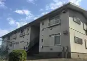 ホワイトサンシャイン