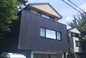 亀甲新は