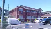 ヴィオラ・マードレ