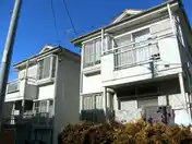 ホワイトシノダ