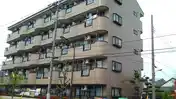 エムズ