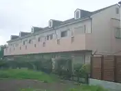 アンジェリカ