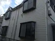 アムールオセ