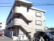エバーグリーン