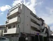 アイビー菅沢