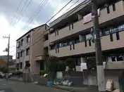 シルクトゥリー