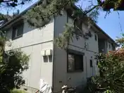 松の木A