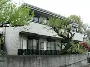 メゾン・ヴェルデ