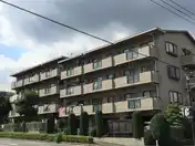 メゾンピュール