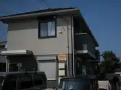 コスモグリーン