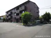フォレスト・タツイ