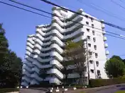 サンパルク650C-6号