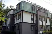 しあわせ野46号