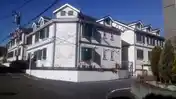 オーキッド