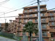 パラシオン鶴見