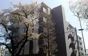 ネクステージ国立V