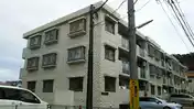 ドメーヌ・マロニエ