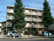 ステラタウン