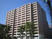 アデニウム新横浜