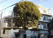 クリスタル笹塚PART1