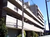 アムール森野
