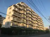 エバーグリーン川口