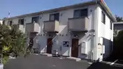 アムール青葉
