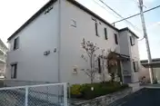 エバーグリーンII