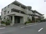 ライラック
