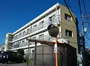 スカイハイムパピヨン