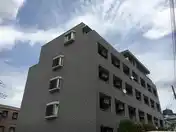 グレース柏