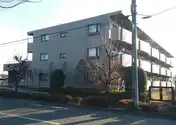 アルトバウム