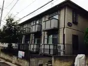 サイプレス