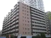 ナイスアーバンステイツ川崎
