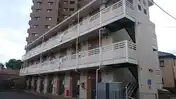 レオネクストセレーノ