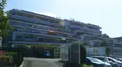 アデニウム玉川学園