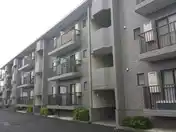 ヴェルドミール
