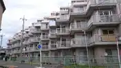 タックワンジュモン