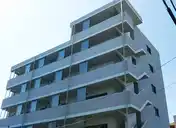 グリシーヌ