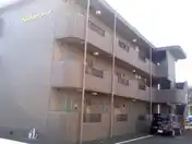 ウィステリアシード