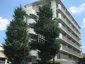 ベルエア新高円寺