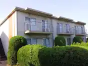 サンホワイトD-205