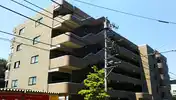 ヴェルドミール一橋