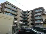 ミオカステーロ新川崎