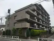 ベルドゥムール草加八幡