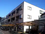 ラフィーヌ フォレ