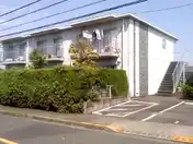 サンホワイトM-312