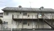TOMATO HOUSE