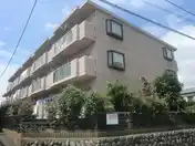 ヴェルデュール森