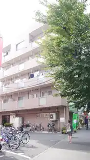 MIDORI